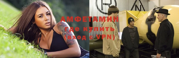 прущие грибы Алзамай