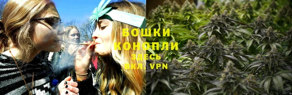 винт Нягань