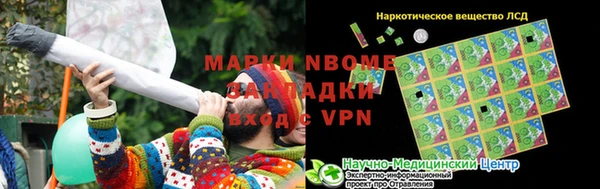 прущие грибы Алзамай