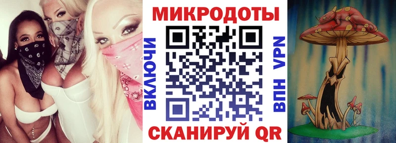 Галлюциногенные грибы Cubensis  Адыгейск 